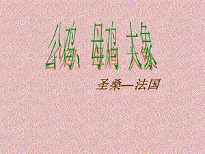 湘藝版一年級下冊音樂《公雞、母雞 大象》課件3.ppt