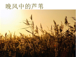 人音版五年級上冊音樂晚風課件.ppt