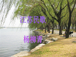 人音版三年級下冊音樂1 《楊柳青》課件.ppt