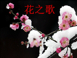 人音版五年級下冊音樂《花之歌》課件.ppt