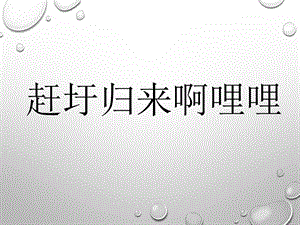 人音版六年級(jí)上冊(cè)音樂(lè)趕圩歸來(lái)啊哩哩課件.ppt