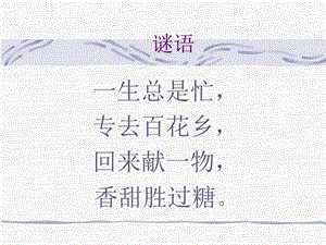 人音版二年級(jí)下冊(cè)音樂(lè)《小蜜蜂》課件3.ppt