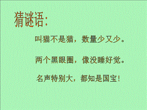 人音版一年級上冊音樂快樂的小熊貓課件一.ppt