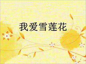 人音版二年級下冊音樂我愛雪蓮花課件1.ppt