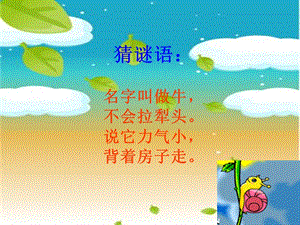 人音版二年級(jí)上冊(cè)音樂(lè)蝸牛與黃鸝鳥課件3.ppt