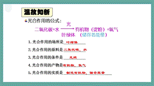 人教版七年級上冊生物《植物的呼吸作用》課件 .pptx