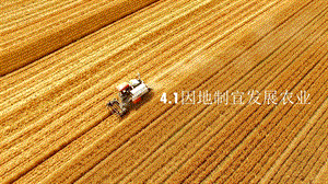 商務(wù)星球版八上地理4.1因地制宜發(fā)展農(nóng)業(yè)_課件.pptx