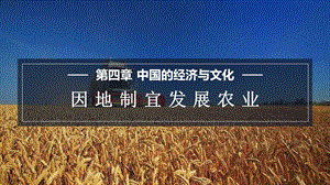 商務(wù)星球版八上地理4.1因地制宜發(fā)展農(nóng)業(yè)課件.pptx