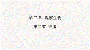 浙教版七年級(jí)上冊(cè)科學(xué)課件2.2細(xì)胞.pptx