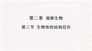 浙教版七年級(jí)上冊(cè)科學(xué)課件2.3生物體的結(jié)構(gòu)層次.pptx