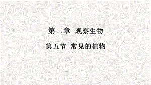浙教版七年級(jí)上冊(cè)科學(xué)課件2.5常見的植物.pptx