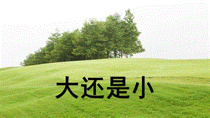 部編版一年級(jí)上冊(cè)語文10.大還是小（精品課件）.pptx