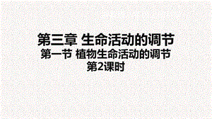 浙教版八年級上冊科學(xué)課件3.1植物生命活動的調(diào)節(jié)② .ppt