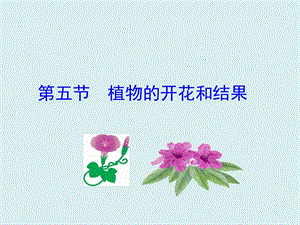 蘇教版七上生物第五節植物的開花和結果 課件.ppt