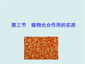 蘇教版七上生物第三節植物光合作用的實質課件.ppt