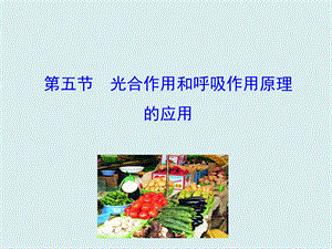 蘇教版七上生物第五節光合作用和呼吸作用原理的應用 課件.ppt