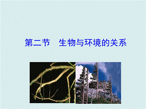 蘇教版七上生物第二節生物與環境的關系課件.ppt