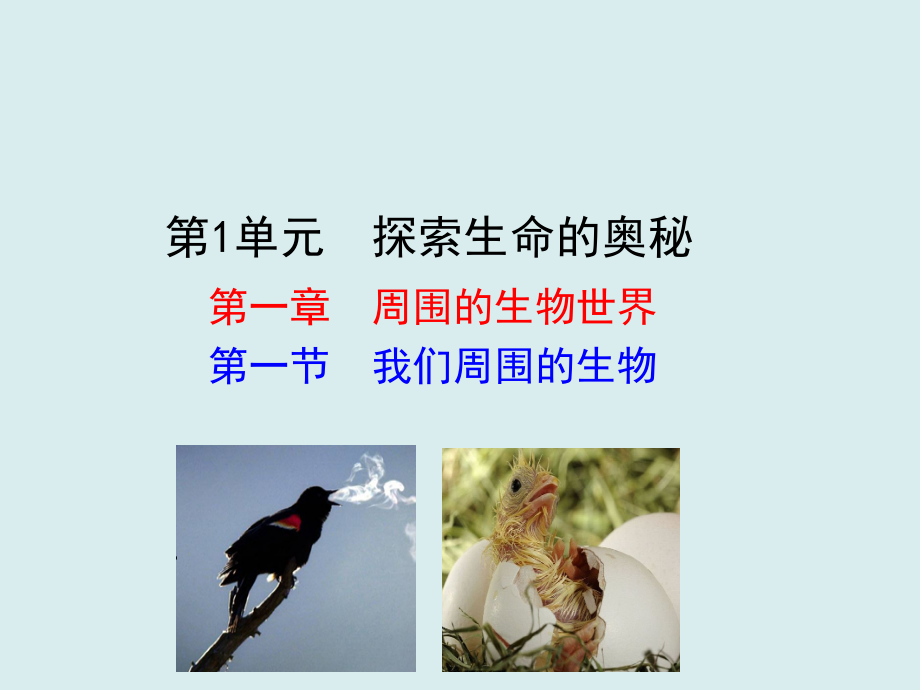 蘇教版七年級上冊生物教學課件ppt（全冊打包）.rar