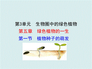 蘇教版七上生物第一節植物種子的萌發 課件.ppt