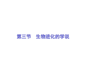 蘇教版八上生物16.3生物進化的學(xué)說（課件PPT）.ppt