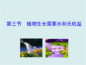 蘇教版七上生物第三節(jié)植物生長需要水和無機鹽 課件.ppt