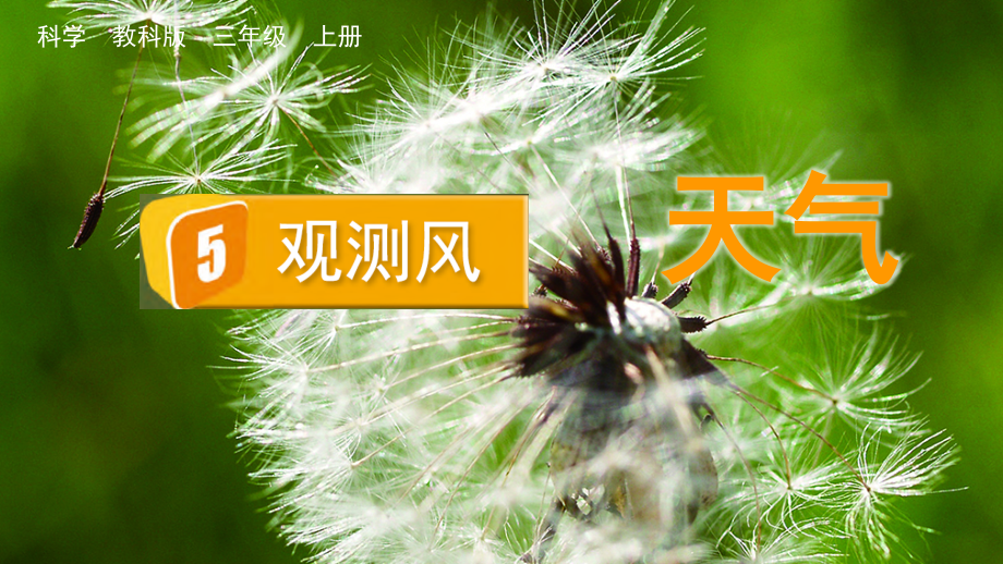教科版三上科學(xué)3.5觀測風(fēng)課件含視頻素材.rar