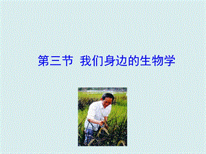 蘇教版七上生物第三節我們身邊的生物學課件.ppt