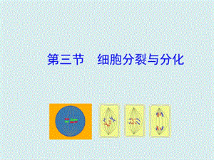 蘇教版七上生物第三節細胞分裂與分化課件.ppt