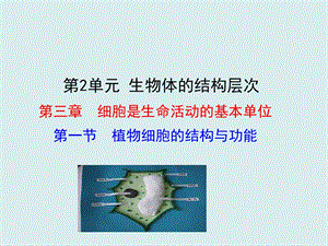 蘇教版七上生物第一節植物細胞的結構和功能 課件.ppt