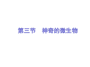 蘇教版八上生物14.3神奇的微生物（課件PPT）.ppt