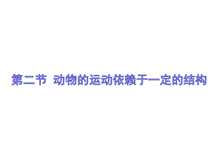 蘇教版八上生物17.2動(dòng)物的運(yùn)動(dòng)依賴于一定的結(jié)構(gòu)（課件PPT）.ppt