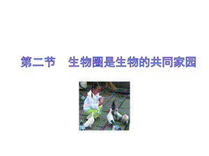 蘇教版八上生物20.2生物圈是生物的共同家園（課件PPT）.ppt