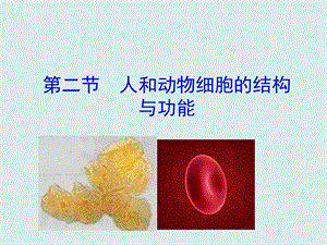 蘇教版七上生物第二節人和動物細胞的結構與功能課件.ppt