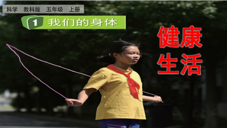 教科版五上科學4.1我們的身體課件含視頻素材.rar