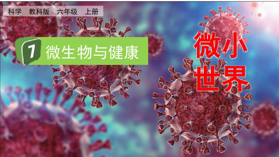 教科版六上科學1.7微生物與健康課件含視頻素材.rar