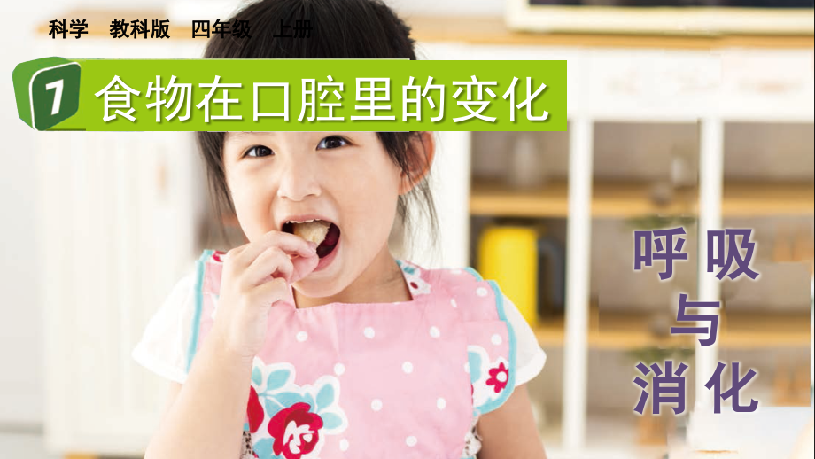教科版四上科學(xué)2.7食物在口腔里的變化課件含視頻素材.rar