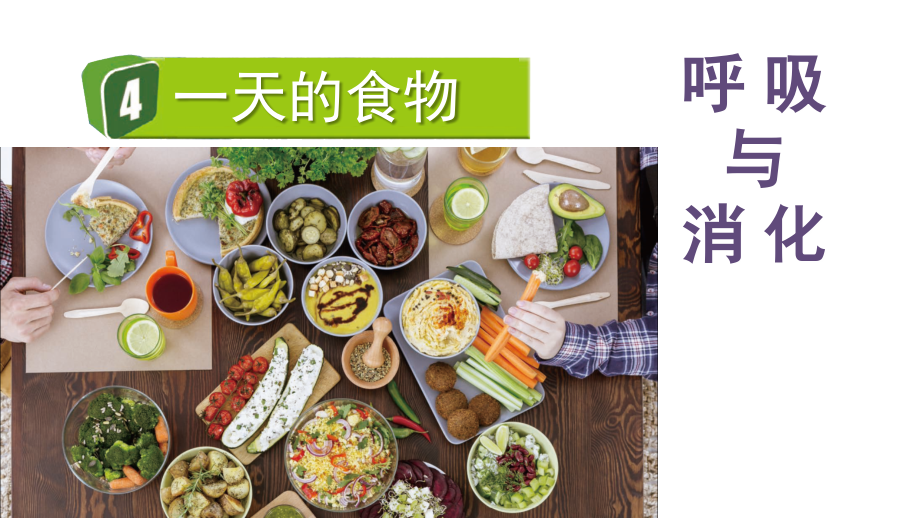 教科版四上科學2.4 一天的食物 課件含視頻素材.rar
