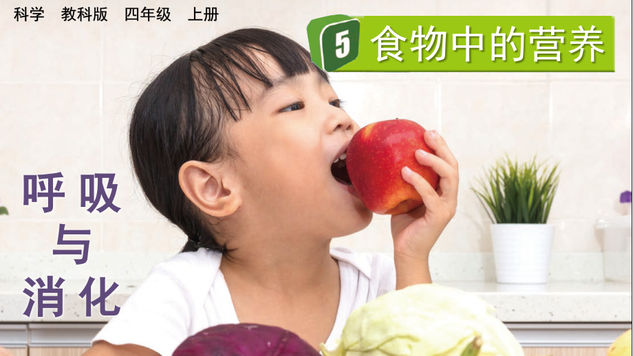 教科版四上科學2.5食物中的營養課件含視頻素材.rar