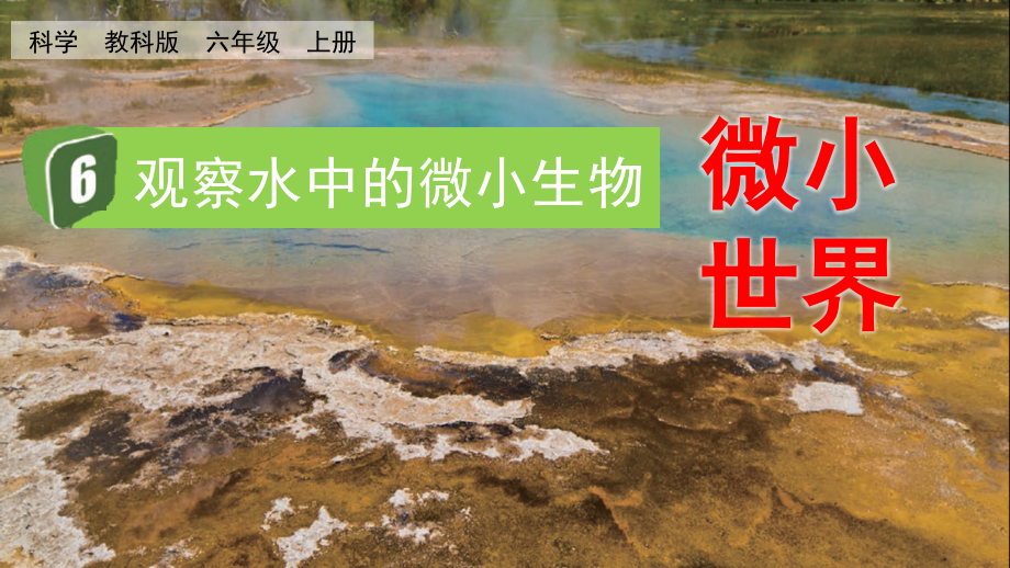 教科版六上科學1.6觀察水中的微小生物課件含視頻素材.rar