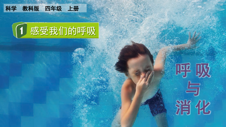 教科版四上科學2.1感受我們的呼吸課件含視頻素材.rar
