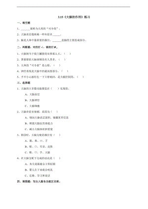 粵科版六上科學3.15大腦的作用練習題含答案.doc