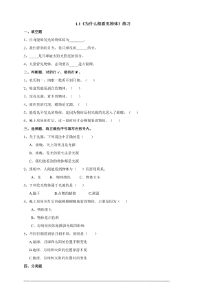 粵科版六上科學1.1為什么能看到物體練習題含答案.doc