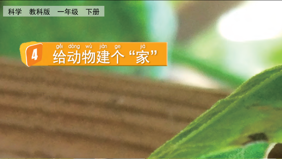 教科版一下科學(xué)2.4 給動(dòng)物建個(gè)“家” 課件含視頻素材.rar