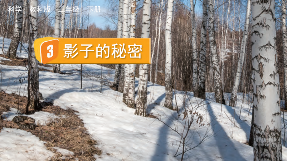 教科版三下科學(xué)3.3 影子的秘密 課件含視頻素材.rar