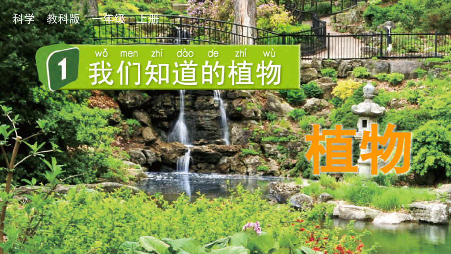 教科版小學科學一年級上冊課件ppt資源包（全冊13課合輯）.rar