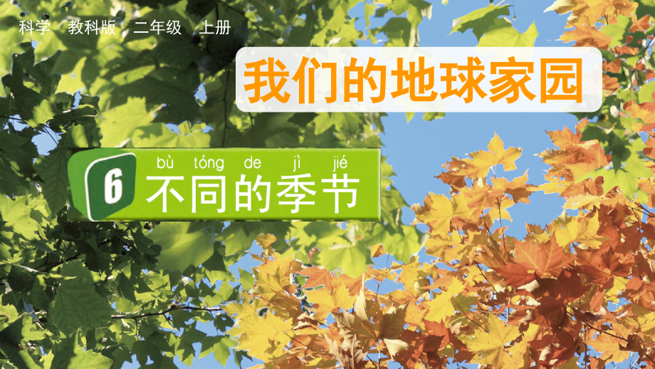 教科版二上科學1.6不同的季節(jié)課件含視頻素材.rar