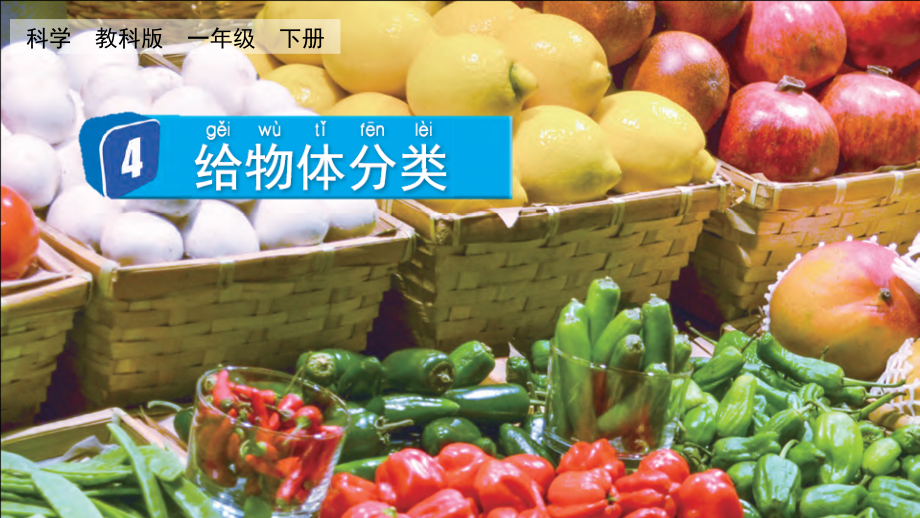 教科版一下科學1.4給物體分類課件含視頻素材.rar