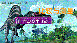 教科版一上科學(xué)2.1 在觀察中比較 課件.pptx
