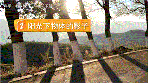 教科版三下科學(xué)3.2 陽光下物體的影子 課件.pptx