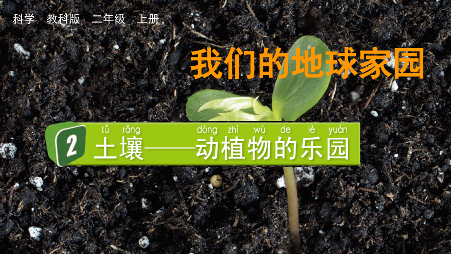 教科版二上科學1.2 土壤——動植物的樂園 課件含視頻素材.rar
